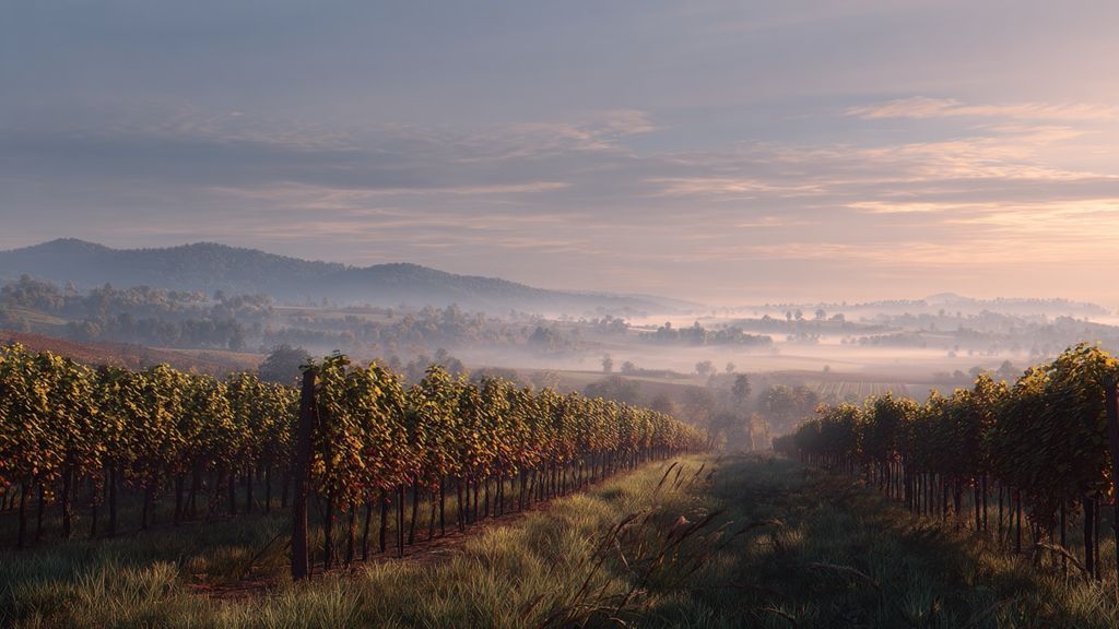 Des innovations pour lutter contre le gel