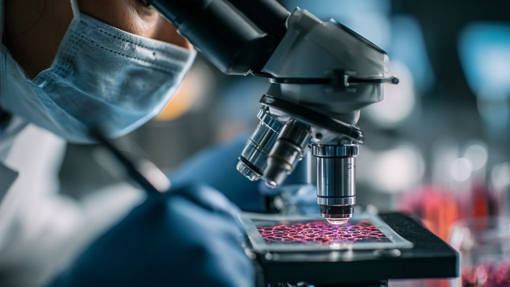 Le rôle de l’équipe de chercheurs dans le projet LPV