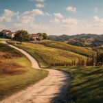 Vin : découvrez le vignoble de la Vallée du Rhône